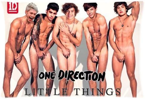 1D One Direction Little Things Being Naked Custom Zippered Pillow Cases 20x30 (Twin sides)