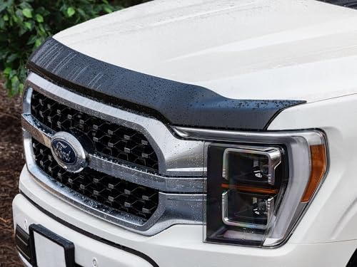 WeatherTech Hood Protector Low-Profile Hood Shield for Ford F-150 (55194IM) Dark Tint