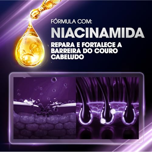 Clear Anticaspahidratação Intensa Shampoo... glide