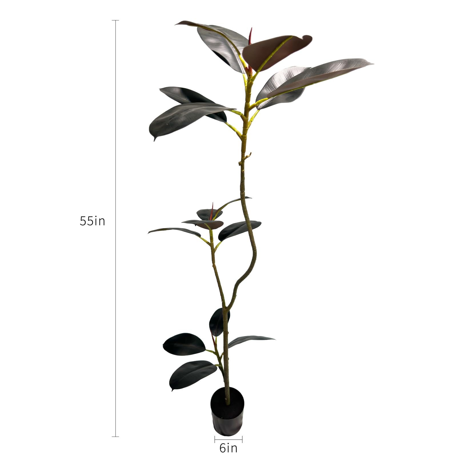 monstera glas Flaschengarten DIY Set No30 main image 0