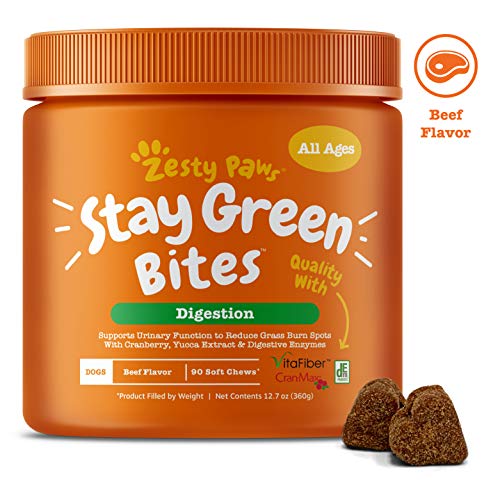 Zesty Paws Stay Green Bites for Dogs - Grass Burn Soft Chews