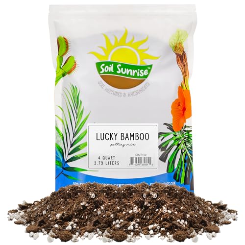Soil Sunrise Lucky Bamboo Plant Potting Mix (4 Quarts) Custom Soil Mix for Repotting