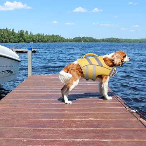 Kuoser Schwimmweste Hund, Haltbarkeit Hundeschwimmweste, Hervorragender Auftrieb Schwimmweste Hund klein groß mittel,Hohe Sicherheit hundeschwimmweste große Hunde Gelb S