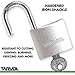 Steel Padlock with Keys (Heavy Duty Security) Safely Lock Interior or Exterior Gates, Sheds, Lockers, Bikes, Tool Box, or Containers. Includes 3 Master Keys
