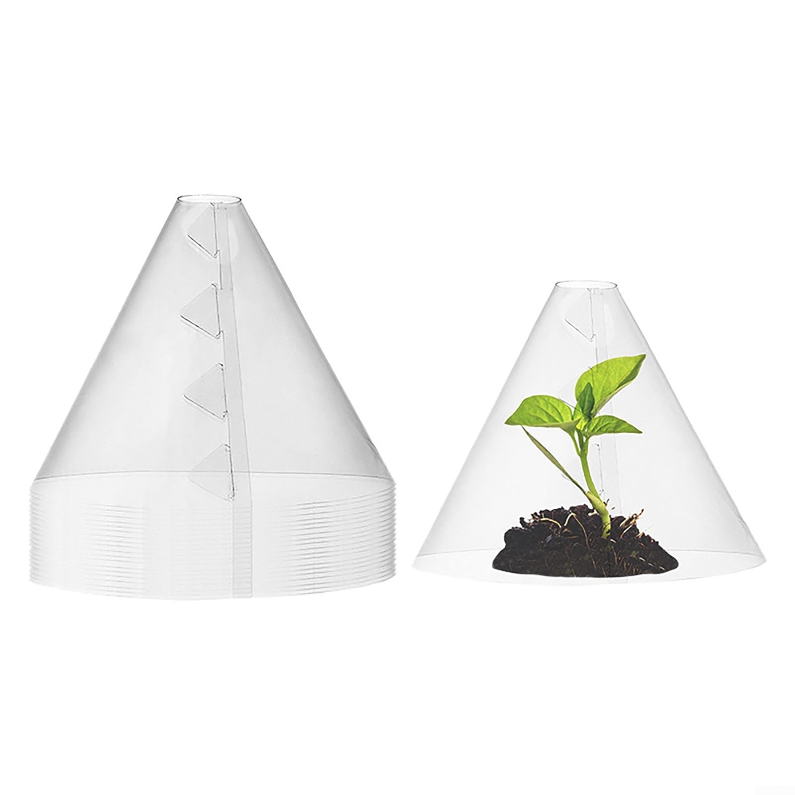 Cloches en polyéthylène pour plantes, protégez suffisamment vos plantes, 10 pièces/20 pièces/30 pièces (C)