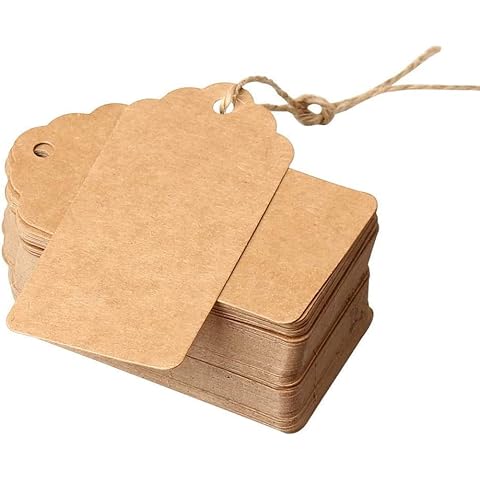 Gift Tags with String for Presents Kraft Paper Price Tag 100 pcs Rectangular Hang Tags Labels 9 X 4cm with 30 Meter Long String (9x4, Brown) Cover