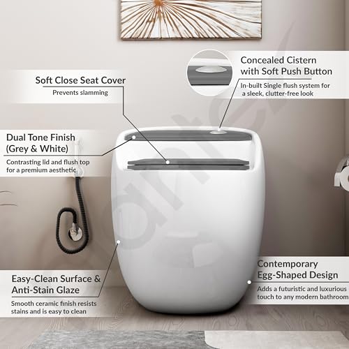 Image of Plantex Platinum Ceramic Rimless Commode /One Piece Western Toilet /Siphonic Flush Western Commode with Soft Close Toilet Seat - S Trap Outlet (White & Grey)