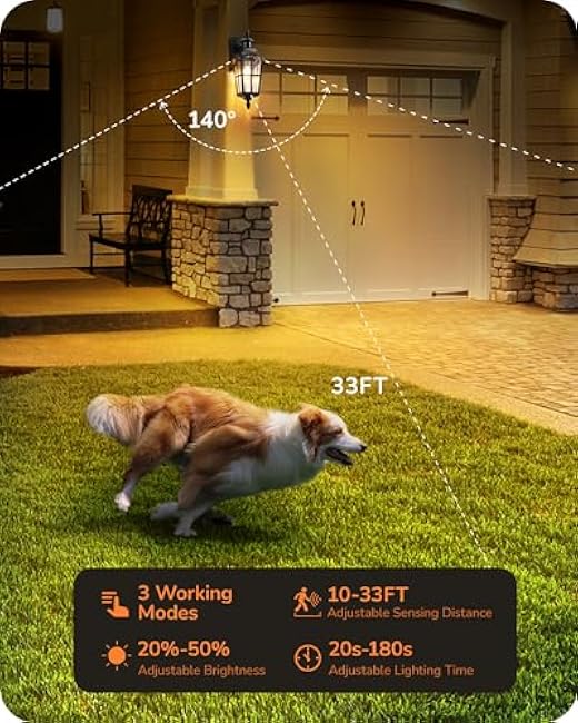 EDISHINE Outdoor Lights Porch Light Wall Sconce Lantern Lamp