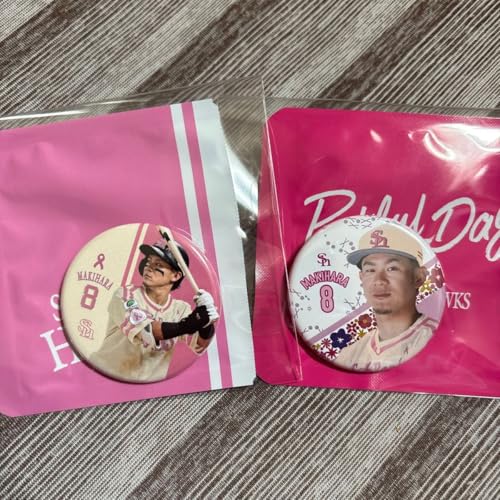 q听I2025N sNtf[ ʃobW 2_Zbg \tgoNz[NX ^J|Cg