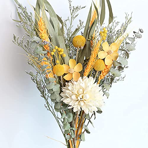 Ramo de flores secas naturales para manualidades miniatura 2