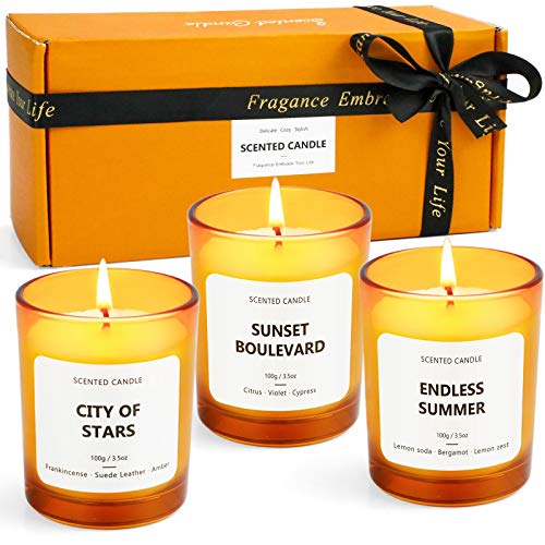 Duftkerze im Glas, Sojawachs Aromatherapie Kerze, 3 Stück, Geschenk Set für Weihnachtsdeko, Geburtstag, Vatertag, Hochzeit Cover