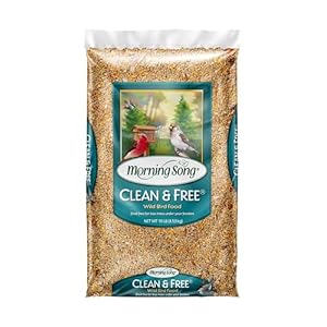 Morning Song Clean & Free Shell Free Wild Bird Food, Premium No Mess Bird Seed for Outside Feeders, 10-Pound Bag