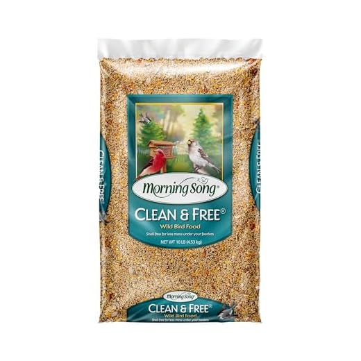 Morning Song Clean & Free Shell Free Wild Bird Food, Premium No Mess Bird Seed for Outside Feeders, 10-Pound Bag