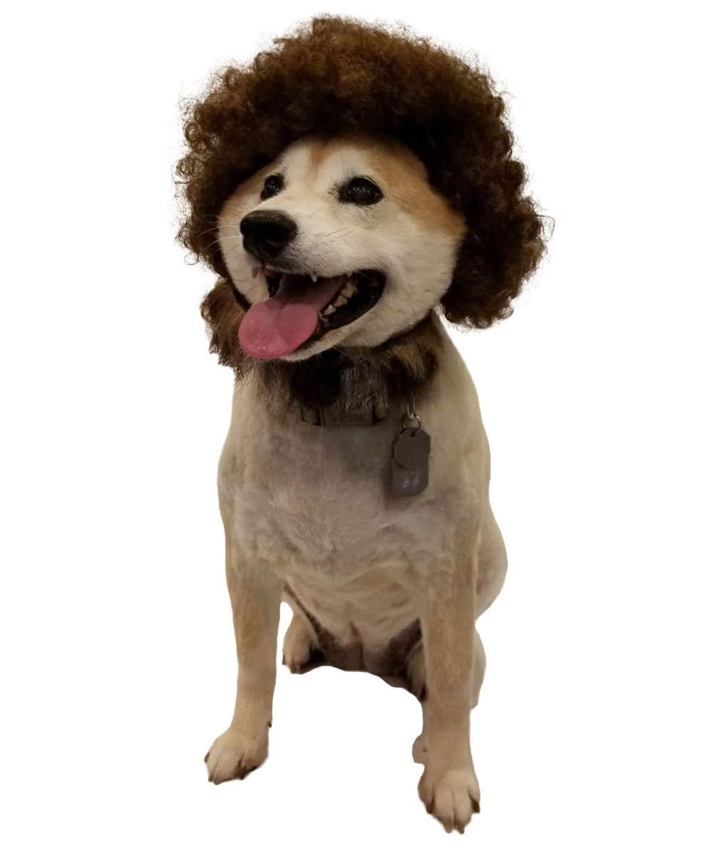 Halloween Party Online 80's Painter Afro Wig with Only Beard Set for Pet Brown HP-019