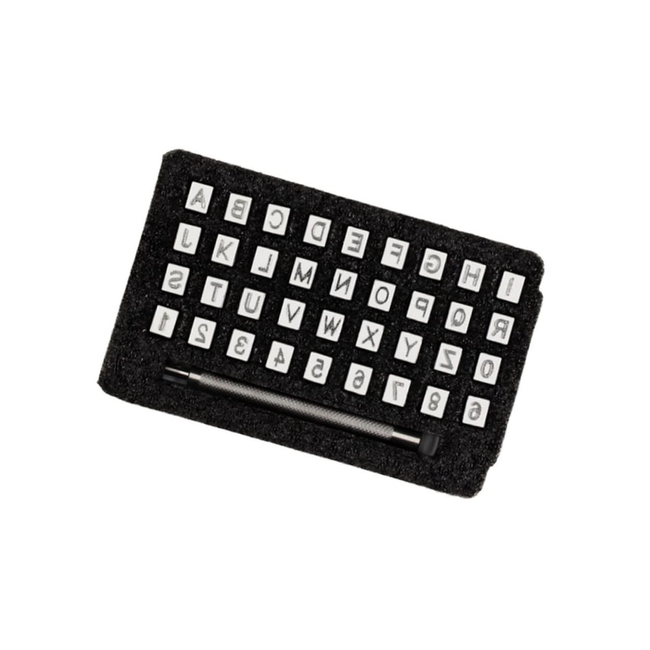 OSALADI 1Set Carbon Steel Letter and Number Stamp Set Durable Craft Stamp Tool for Leather Logo Marking for Personal Id and Intricate Designs Includes Storage Box