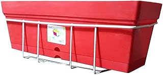 Portal Montra Planter with Balcony Holder, (Rose Red - 50cm)