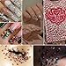 editTime Nail Art Rhinestones Crystals AB Flatback Rhinestones Stones Gems with Pick Up Tweezer and Brush for Nail Art Makeup Shoes Clothes Crafts (Soild Color-kit2)