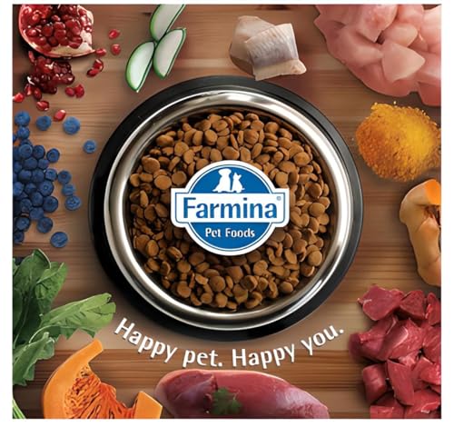 Farmina Pet Food N&D Ancestral Grain Canine 12 kg Adult Lamb