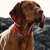 Zoom IMG-1 hurtta weekend warrior eco collare Zoom IMG-1 hurtta weekend warrior eco collare