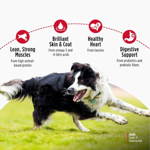 Image of Nulo FreeStyle Limited Ingredient Dry Dog Food - High Protein Salmon Recipe, Natural Grain Free Dog Food for Puppies & Adults, Small, Medium and Large Breed Kibble, 5.5lb Bag
