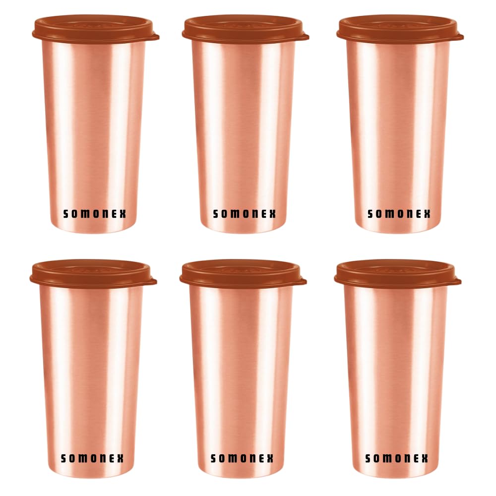SOMONEX Copper Glass Set of 6 Drinking Water Tumbler with Lid, 480 ml, Copper Glass 100% Leak Proof Tamba Glass for Office, Gym, Yoga, Travel Tumbler Copper Glass with lid with Free pitambari Powder (B0D76FZBXQ) Amazon Price History, Amazon Price Tracker