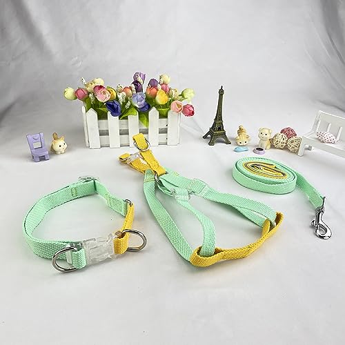 Newtensina 3 pezzi Clashing Colori Poliestere Cane...