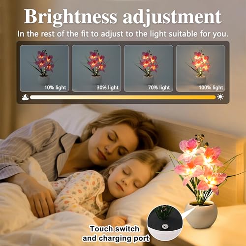 Image of Rechargeable Orchid Artificial Flower Lamp, Desk Bedroom Bar Coffee Shop Light Lamp Decor Night Light Gifts for Women Mom Grandma Girlfriend Friend Wife Birthday Christmas Valentines Mothers Day