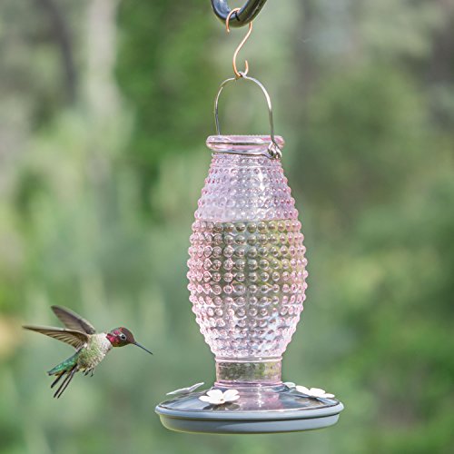 Perky Pet 8131-2 Cranberry Hobnail Vintage Glass Hummingbird Feeder
