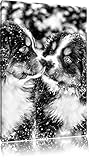 Pixxprint Bernese Mountain Dog Puppies Art Toile 60x40cm Murale XXL