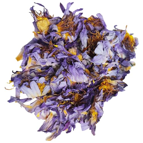 CoolCrafts Lotus Dried Flowers Natural Whole Blooms Blue Dried Flowers - 1 OZ