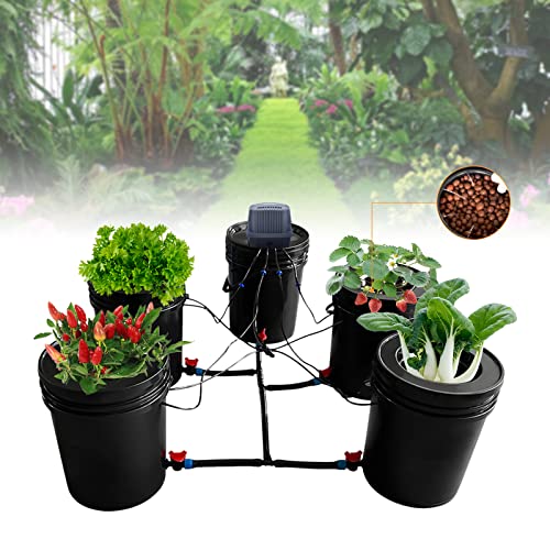 Kit di sistema di coltivazione idroponica da 5 galloni, irrigazione automatica per coltura in acque profonde con gocciolamento ricircolante, per piante da interno