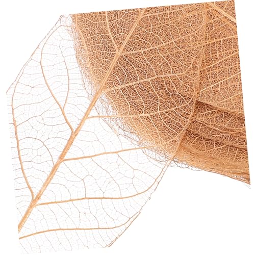 50 hojas esqueleto de caucho natural marrón para manualidades miniatura 3