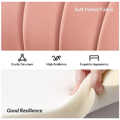 Image of HULALA HOME Velvet Loveseat Sofa with Gold Legs, Modern 2-Seater Sofa for Living Room Bedroom, Comfy Upholstered Small Love Seat Couch, Flower Shaped Back, Pink