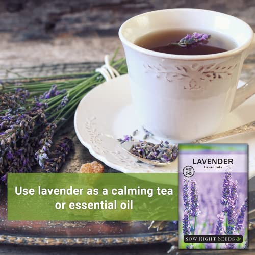 Sow Right Seeds - Lavender Seeds For Planting; Non-Gmo Heirloom Seeds With Instructions To Plant And Grow A Beautiful Indoor Or Outdoor Herb Garden; Great Gardening Gift #TOP2