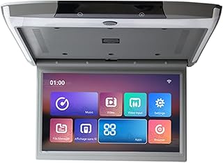 OLLIRG Portable DVD player 17.3 Inch Car Monitor IPS Screen 2+16GB Car Roof Mount Display Multimedia TV 1080P Ceiling Video Player Wifi HDMI BT for Car (Color : 17.3 IPS Gray, Size : 1)