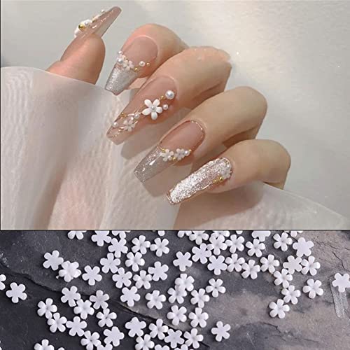 3D Flower Nail Charms, 12 Grids White Flowers Nail Decals For Acrylic Nails Floral Nail Charms Nail Art Supplies Nail Pearls Flower Resin Small Steel Beads Nail Designs Manicure Diy Nail Decorations #TOP1