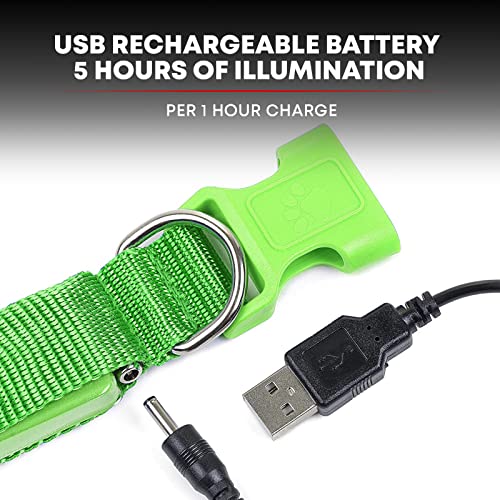 Illumiseen Led Light Up Dog Collar - Bright & High Visibility Lighted Glow Collar For Pet Night Walking – Usb Rechargeable – Weatherproof, In 6 Colors #TOP4