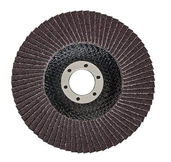 Bosch Professional Flap Disc 4