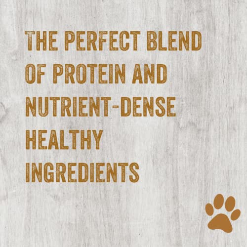 Team Dog Performance Dog Food & Treats Sample (Salmon Meal And Herring Meal, Essential 0.44Lbs) #TOP2