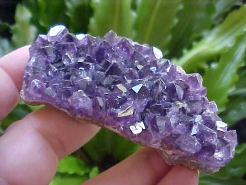 B5913 Gemqz Purple Amethyst Cluster Uruguay !!!