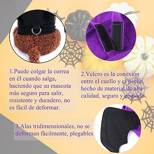 Mascotas, Pet Products Imagen adicional