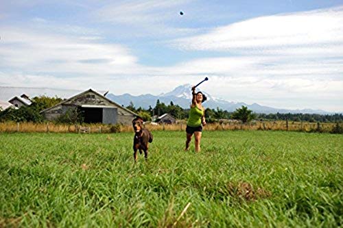 Bola Chuckit The Whistler 2Un M para Cães Chuckit para Cães, Médio, Multicor