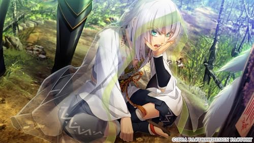 Toki no Kizuna Nintendo Switch solution import sans censure version nippone originale