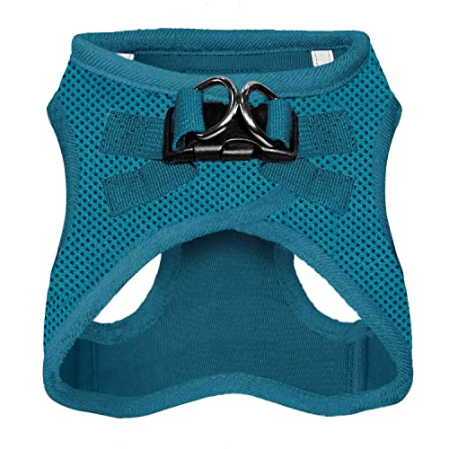 Voyager Step-In Air Dog Harness - All Weather Mesh Step In Vest Harness For Small And Medium Dogs By Best Pet Supplies - Harness (Turquoise), Large #TOP1