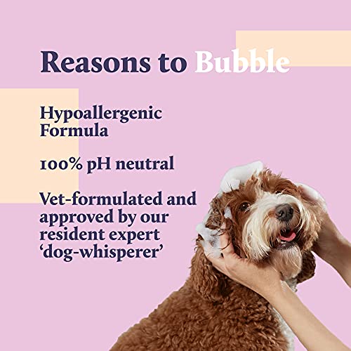 Kenn & Kitt Coconut Shampoo For Dogs | Conditions Fur | Hypoallergenic And Paraben Free Formula| Persimmon Extract For Extended Odor Control #TOP2