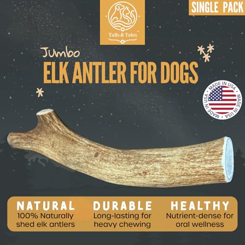 Image of Jumbo Whole Elk Antler for Dogs, 9-11 inch Dog Bones for Aggressive Chewers