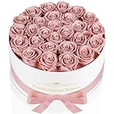 Perfectione Roses Forever Real Roses in a Box, Preserved Rose That Last Up to 3 Years, Flowers for Delivery Prime Birthday Valentines Day Gifts for Her, Mothers Day Flower (Dusty Rose)