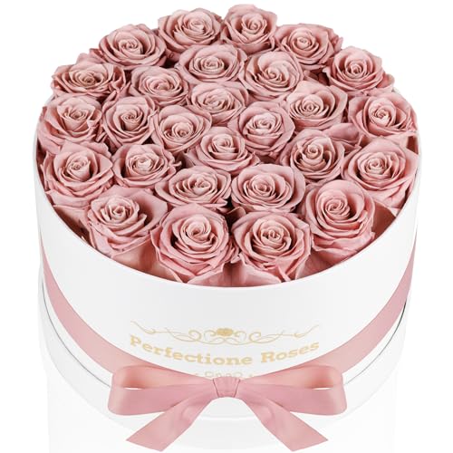 Perfectione Roses 27 Roses in a Box Mothers Day Rose Preserved Flowers for Her Flowers for Delivery Birthday Gifts for Women (Dusty Rose)