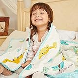 Hiseeme Weighted Blanket for Kids (7lbs, 41''x60'', Single Size) Small Pockets - Breathable Cotton with Glass Beads (Dinosaur)
