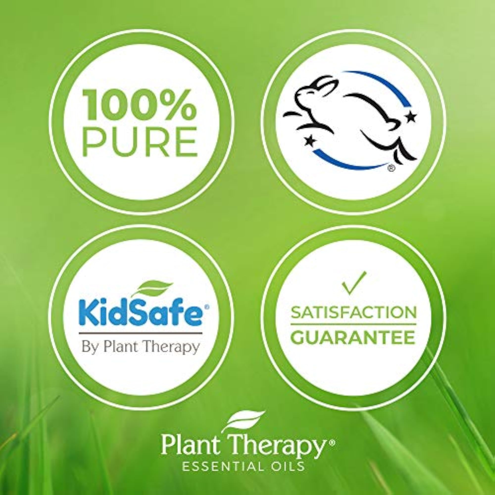 Plant Therapy KidSafe Study Time Essential Blend 30 mL, 100% Pure